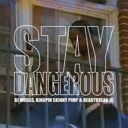 Stay Dangerous by DJ Muggs