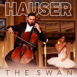 The Swan by Stjepan Hauser