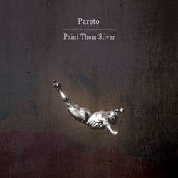 Paint Them Silver by Pareto