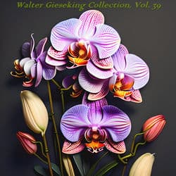 Walter gieseking collection, vol. 39 by Walter Gieseking