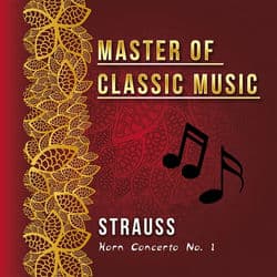 Master of Classic Music, Strauss by Wolgang Sawallisch