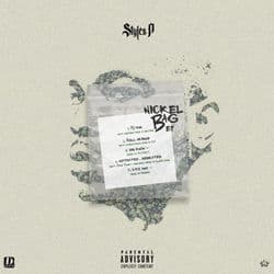 Nickel Bag by Styles P