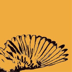 Bitter Bluebird by Christopher Bell