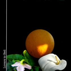 Lovers to Bed by Aela Hopeful Monster