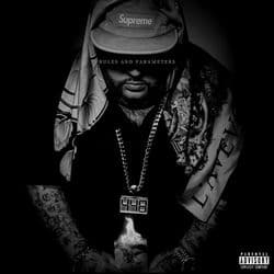 Rules and Parameters by Pounds448