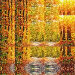 When the Leaves Fall by Blu