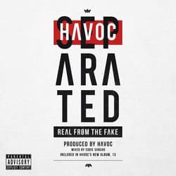 Separated (Real from the Fake) by Havoc