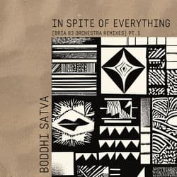 In Spite of Everything (Bria 83 Orchestra Remixes PT.1) by Boddhi Satva