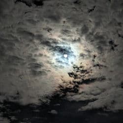 Starlight Echoes by The Professionals