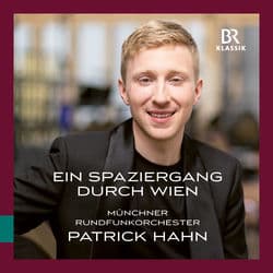 Ein Spaziergang durch Wien (Live) by Patrick Hahn