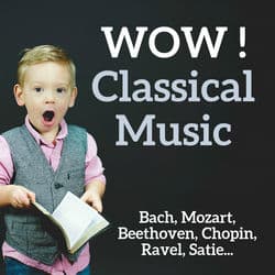 WOW ! Classical Music by Wolfgang Amadeus Mozart