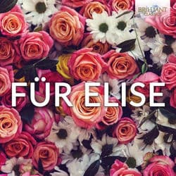 Für Elise by Klára Würtz