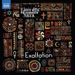 Exaltation by Ensemble NAYA