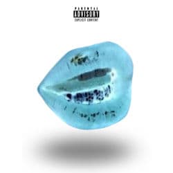 Disturb The Dedication by Havoc