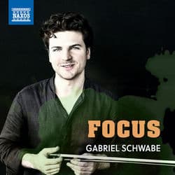 Focus by Gabriel Schwabe
