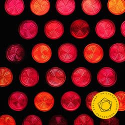 Haydn - Lalo by Berliner Philharmoniker