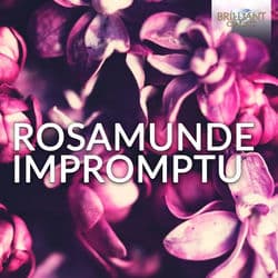 Rosamunde Impromptu by Folke Nauta