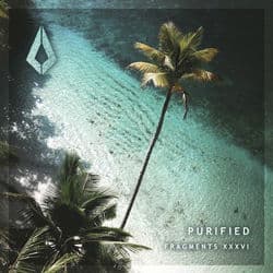 Purified Fragments XXXVI by Various Artists