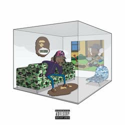 A Bathing Ape In A HotBox by The 6th Letter