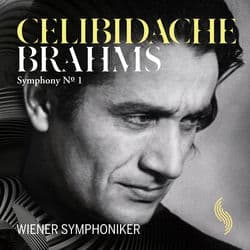 Brahms: Symphony No. 1 by Wiener Symphoniker