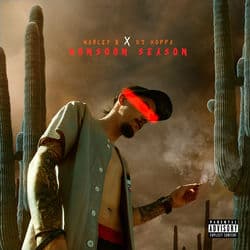 Monsoon Season by Marley B