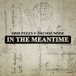 In The Meantime by OMB Peezy