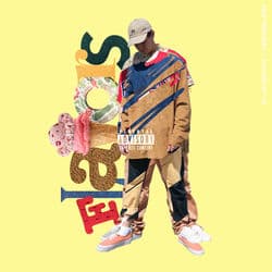 Flavors by Self Provoked