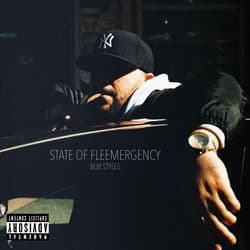State of Fleemergency by Bub Styles
