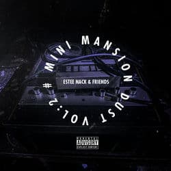 #Minimansiondust, Vol. 2 by Estee Nack